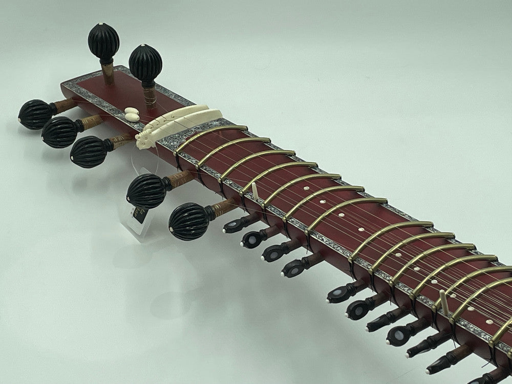 Gayki-Ang Sitar, Professional