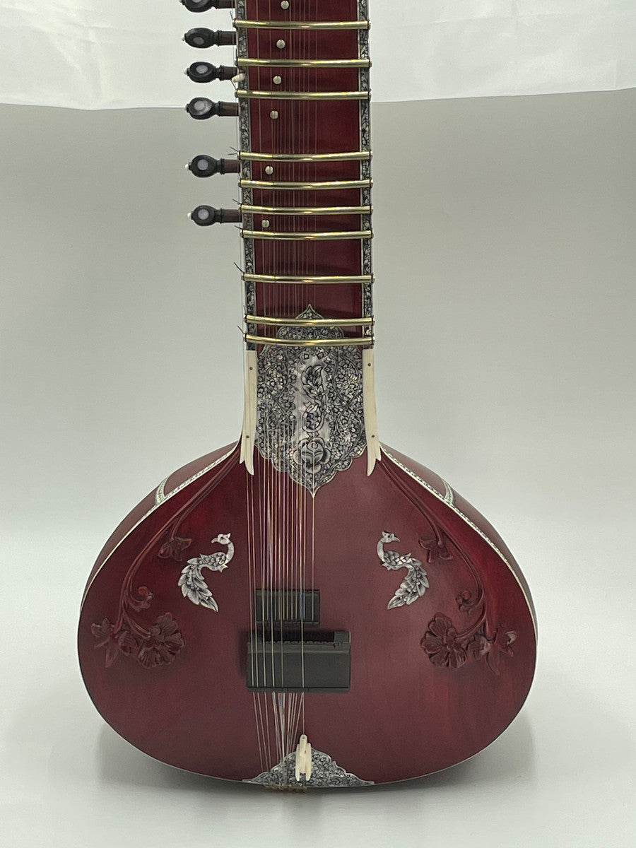 Gayki-Ang Sitar, Professional