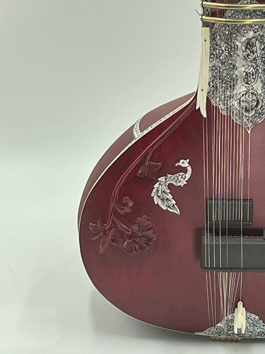 Gayki-Ang Sitar, Professional