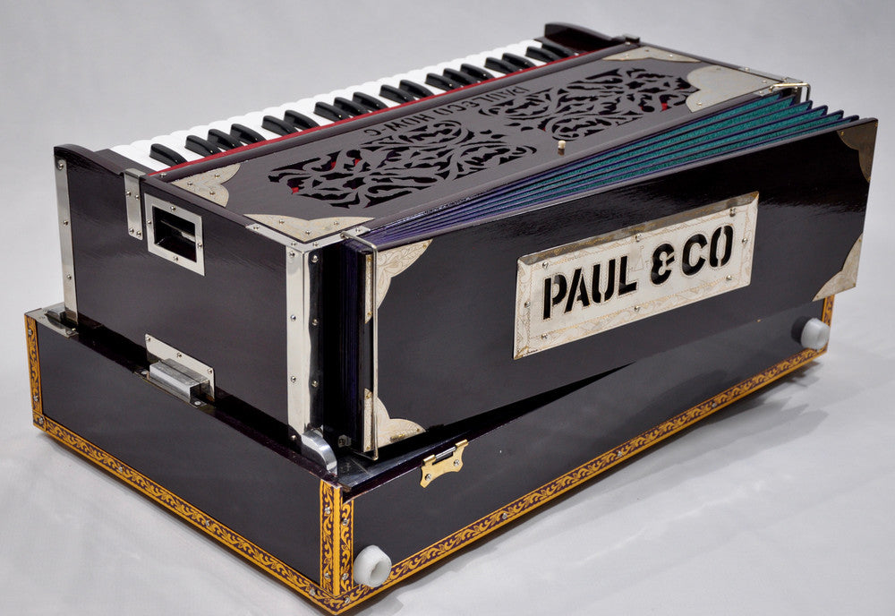 Paul & Co. Fixed 3 Reed