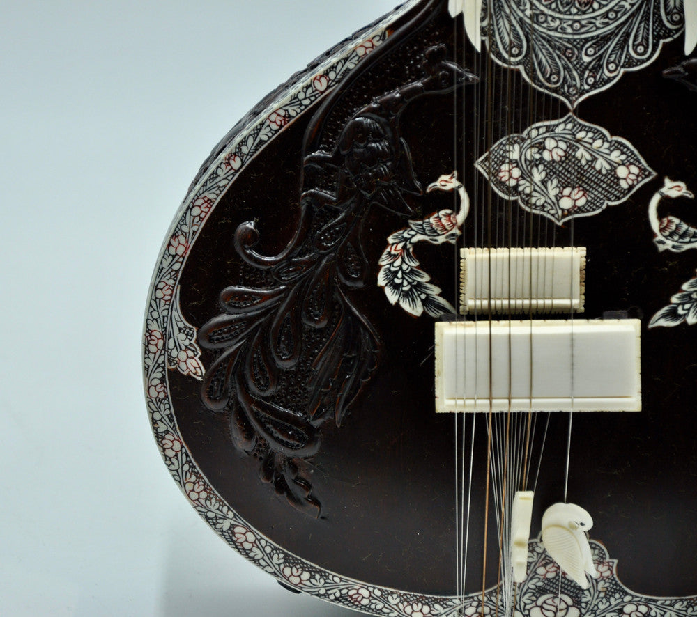 Travel Concert Sitar