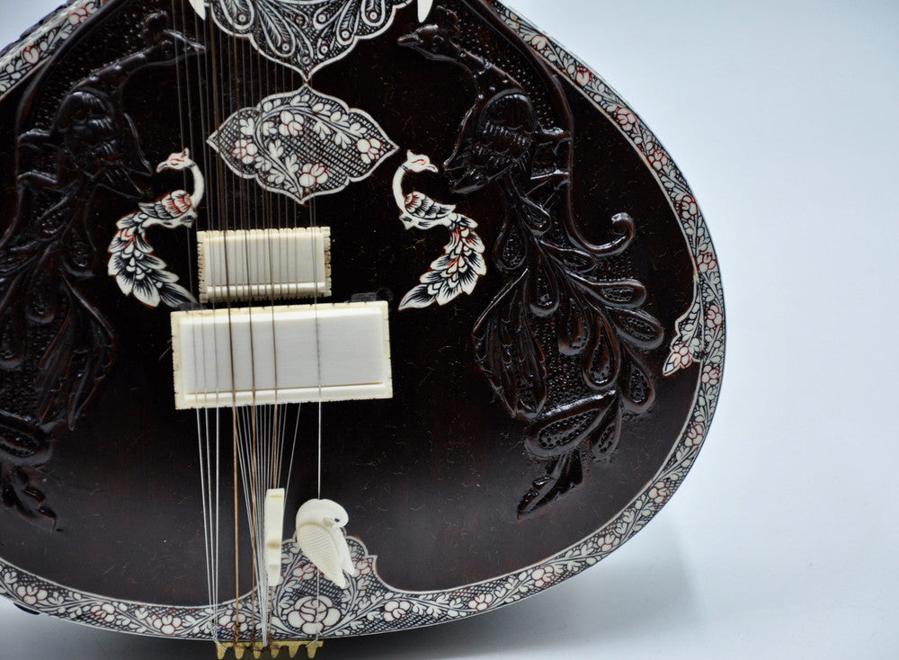 Travel Concert Sitar