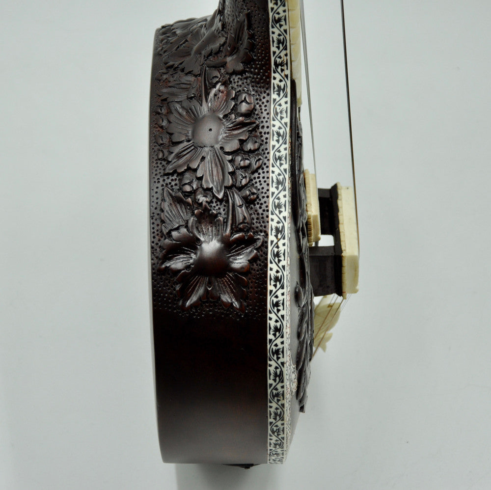 Travel Concert Sitar