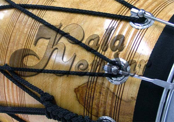 Bhangra Dhol Pro