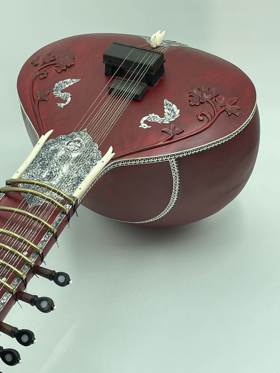 Gayki-Ang Sitar, Professional