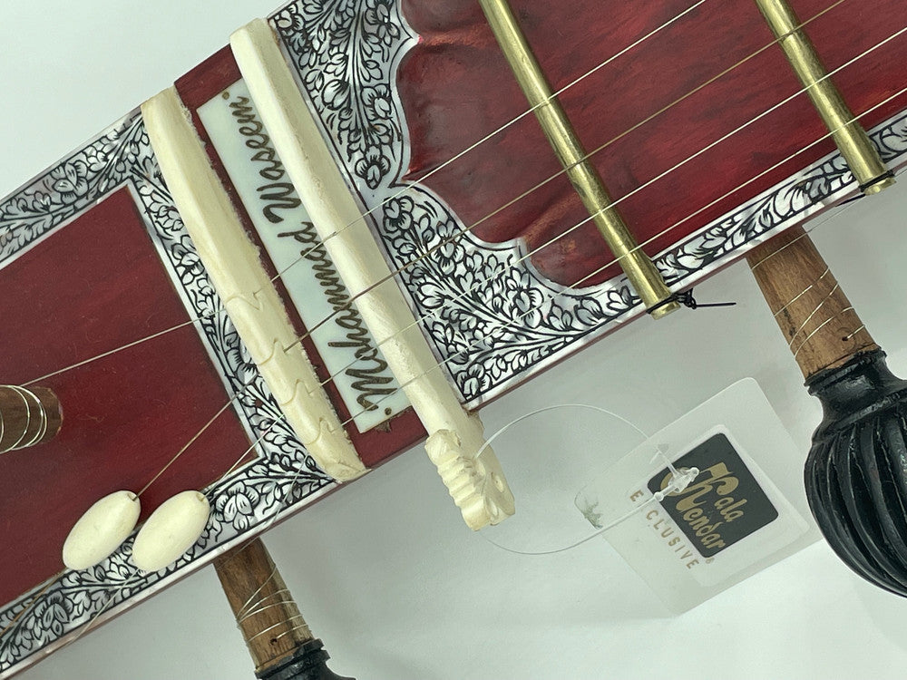 Gayki-Ang Sitar, Professional