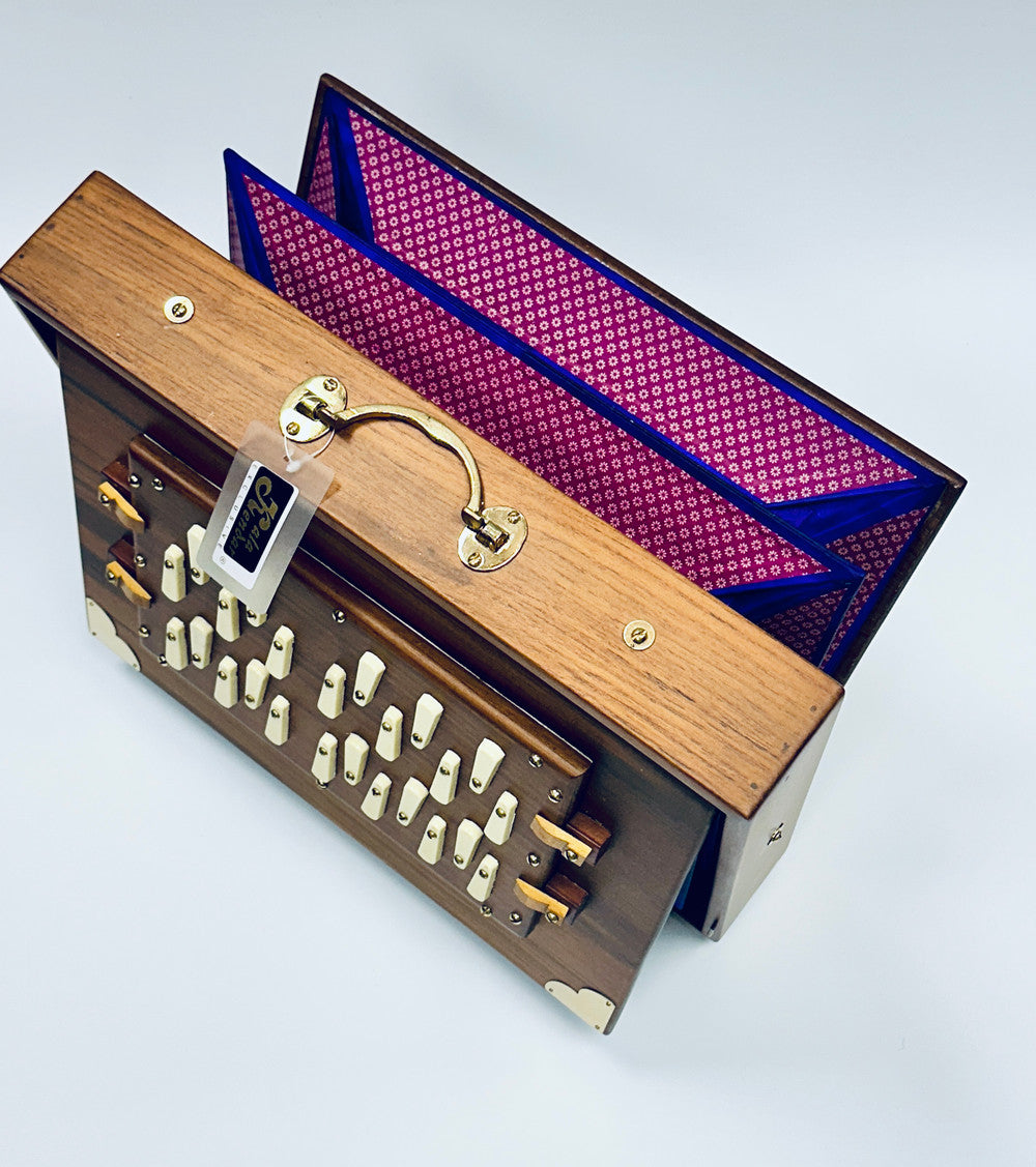 Shruti Box S2 PRO