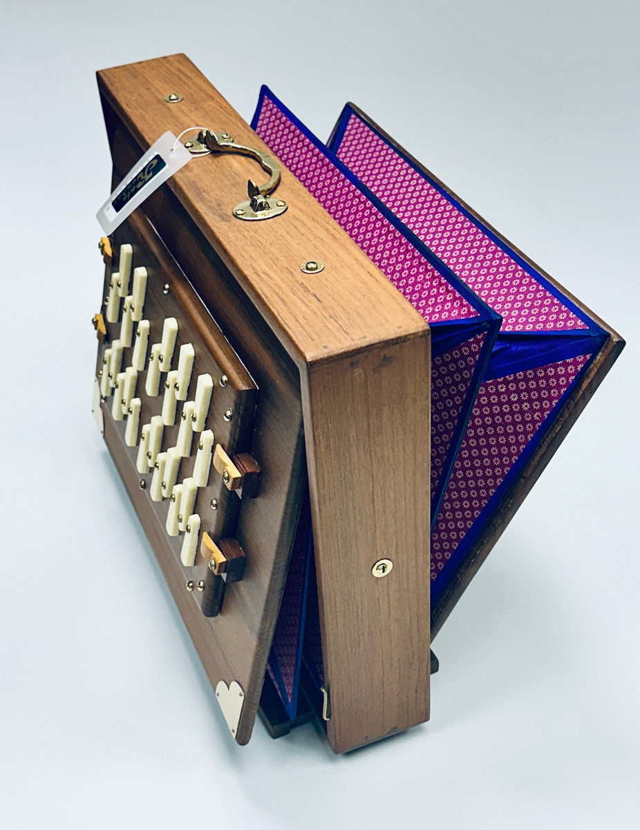 Shruti Box S2 PRO