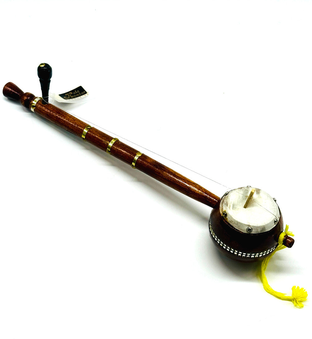 Punjabi Tumbi/Ektara 
