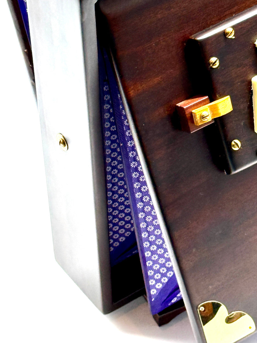 Shruti Box S1 PRO (Limited Edition)
