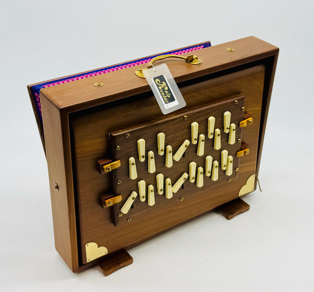 Shruti Box S2 PRO