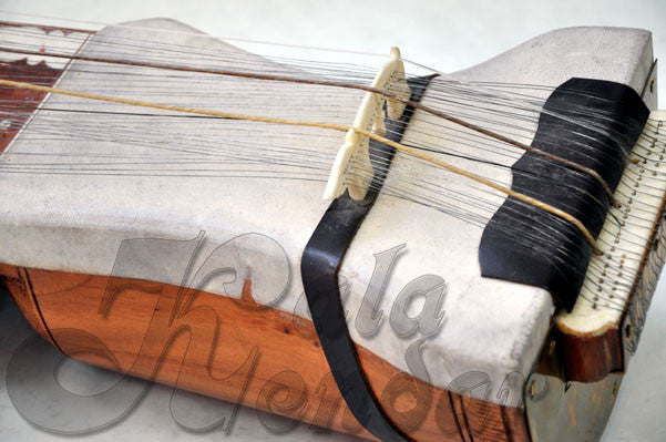 Sarangi Professional (Blemished)