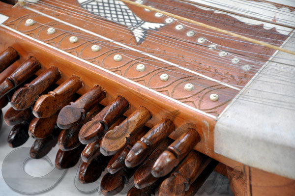Sarangi Professional (Blemished)