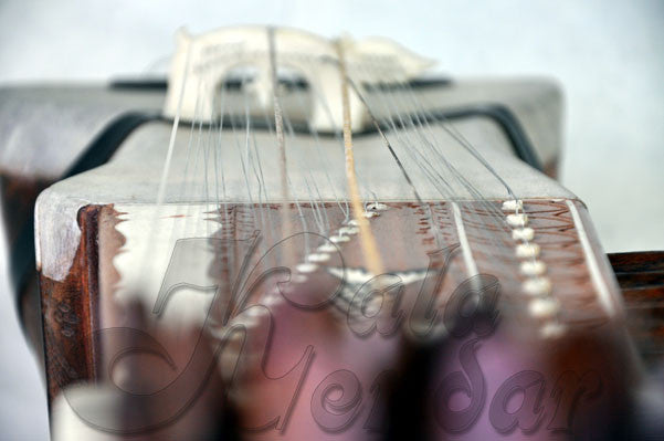 Sarangi Professional (Blemished)