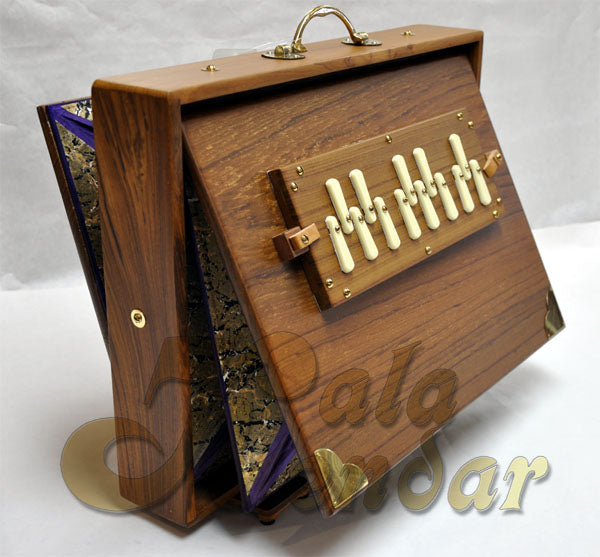 Shruti Box S1 PRO