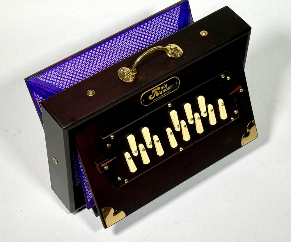 Shruti Box S1 Pro Lite ®