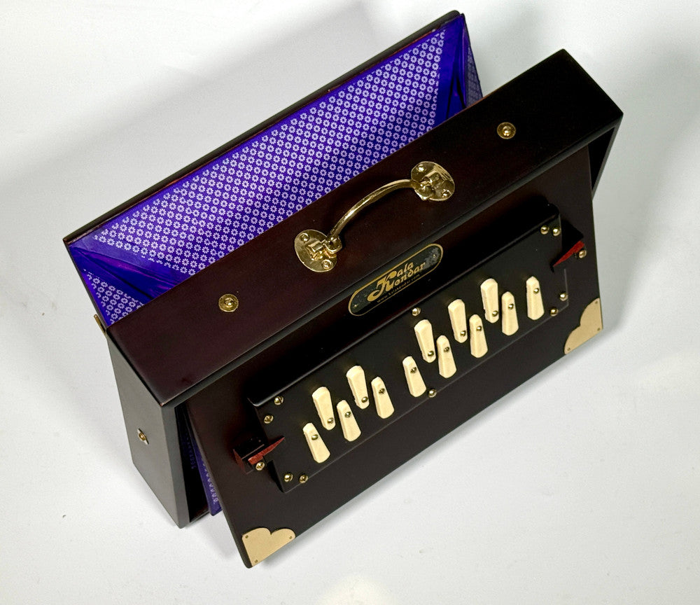 Shruti Box S1 Pro Lite ®