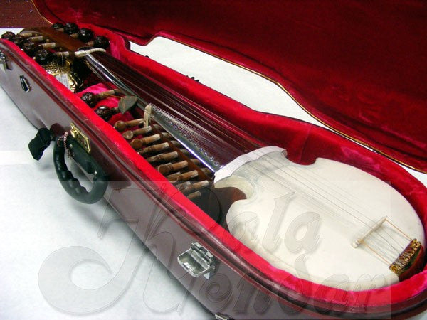 Sarode - Sarod Pro HardCase