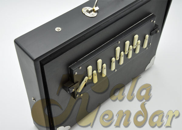 Shruti Box S1 Ebony - (Blemished)