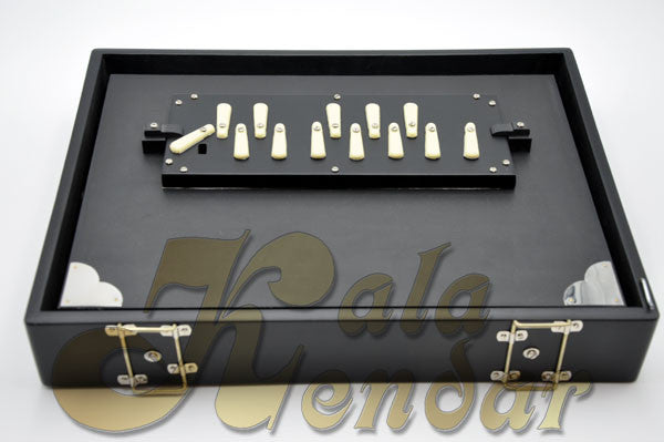 Shruti Box S1 Ebony - (Blemished)
