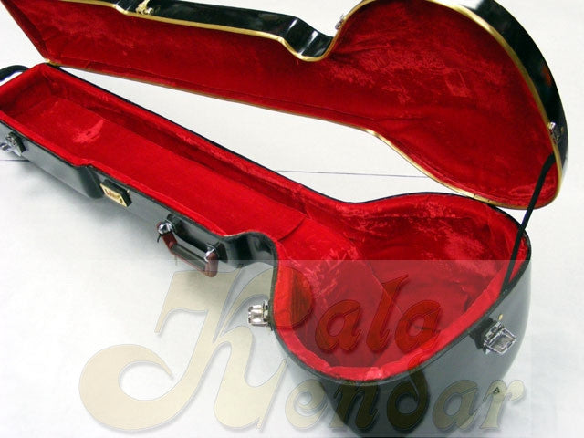Sitar Pro HardCase