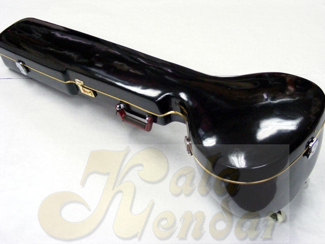 Sitar Pro HardCase