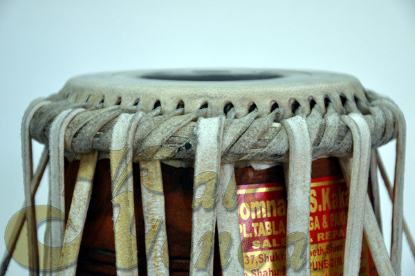 Dayan, Concert by Somnath Kakade
