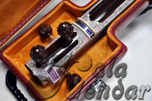 Tanpura Pro HardCase
