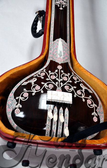 Tanpura Pro HardCase