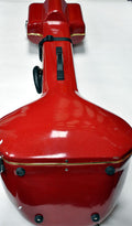 Tanpura Pro HardCase