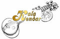 Veena Rudra Strings