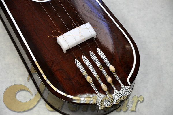 Tanpura by Monoj Kumar Sardar
