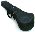 Sitar Padded Gigbag case