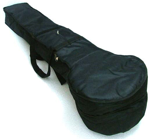 Sitar Padded Gigbag case