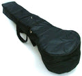 Tanpura Padded Gigbag case