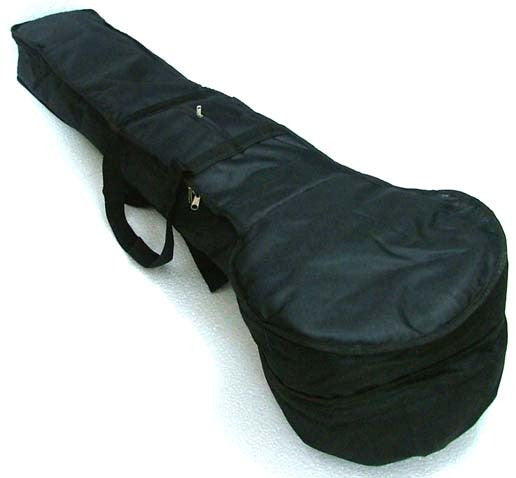 Tanpura Padded Gigbag case